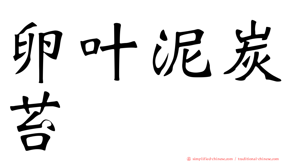 卵叶泥炭苔