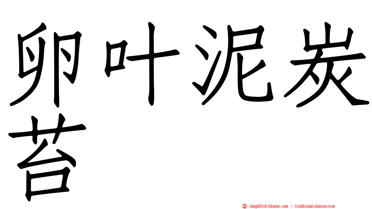 卵叶泥炭苔