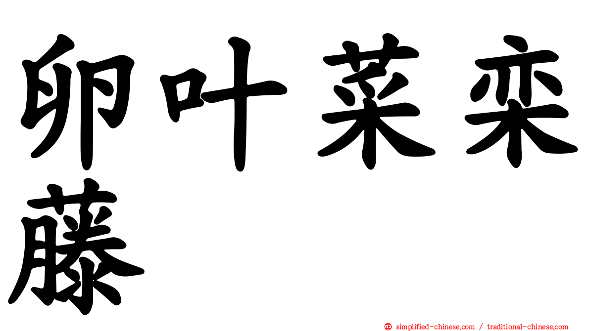 卵叶菜栾藤