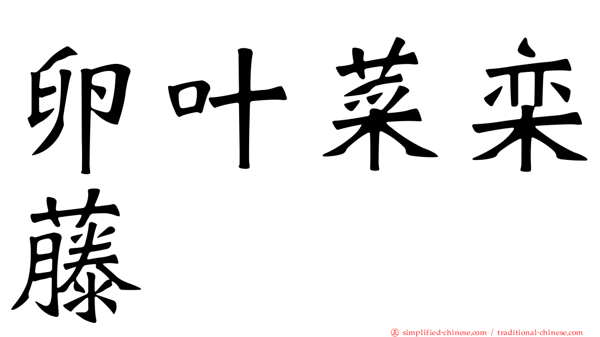 卵叶菜栾藤