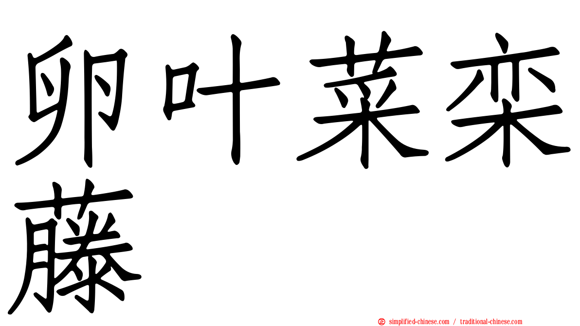 卵叶菜栾藤
