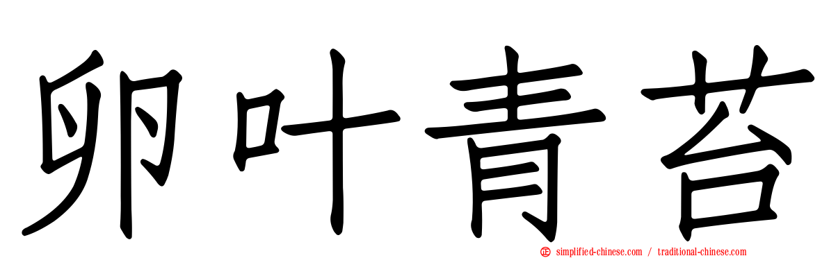 卵叶青苔