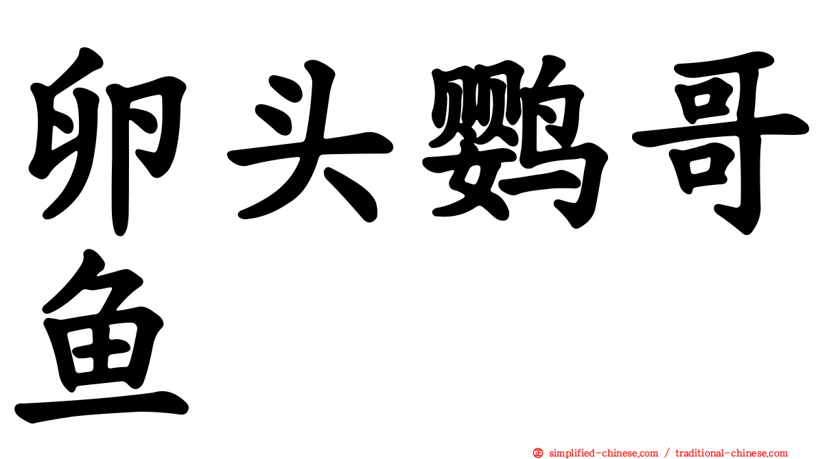 卵头鹦哥鱼