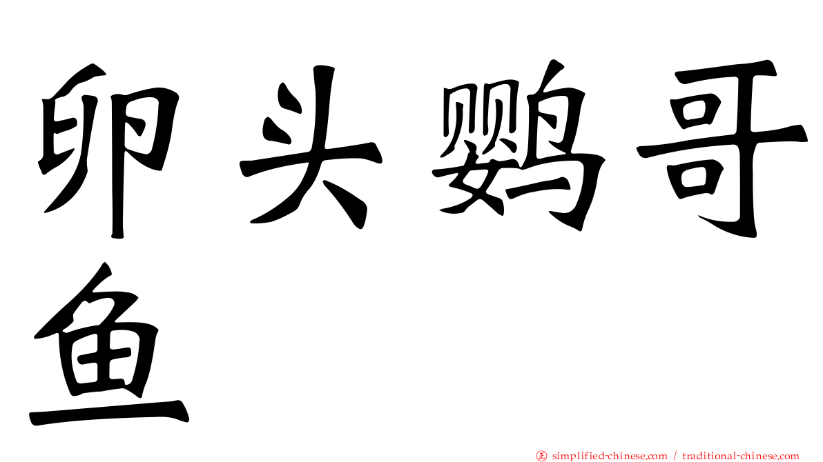 卵头鹦哥鱼