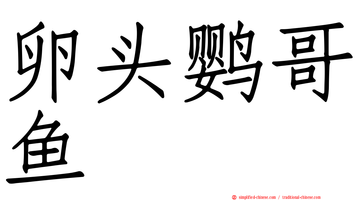 卵头鹦哥鱼