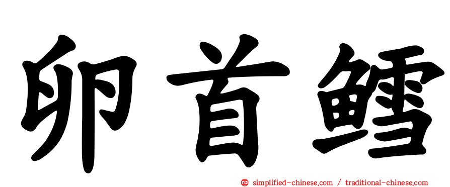 卵首鳕