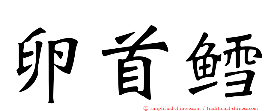 卵首鳕