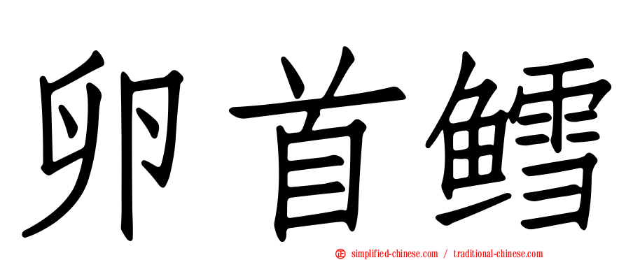 卵首鳕