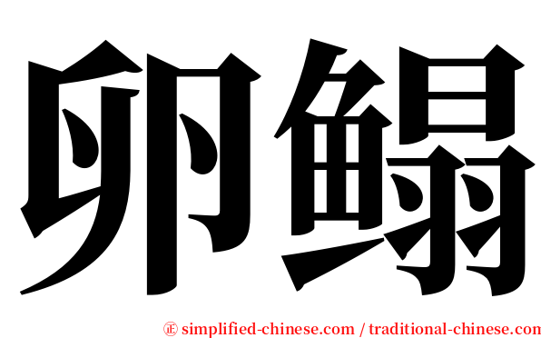 卵鳎 serif font