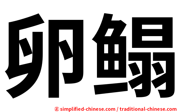 卵鳎