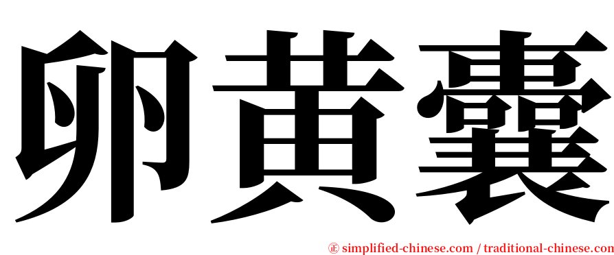卵黄囊 serif font