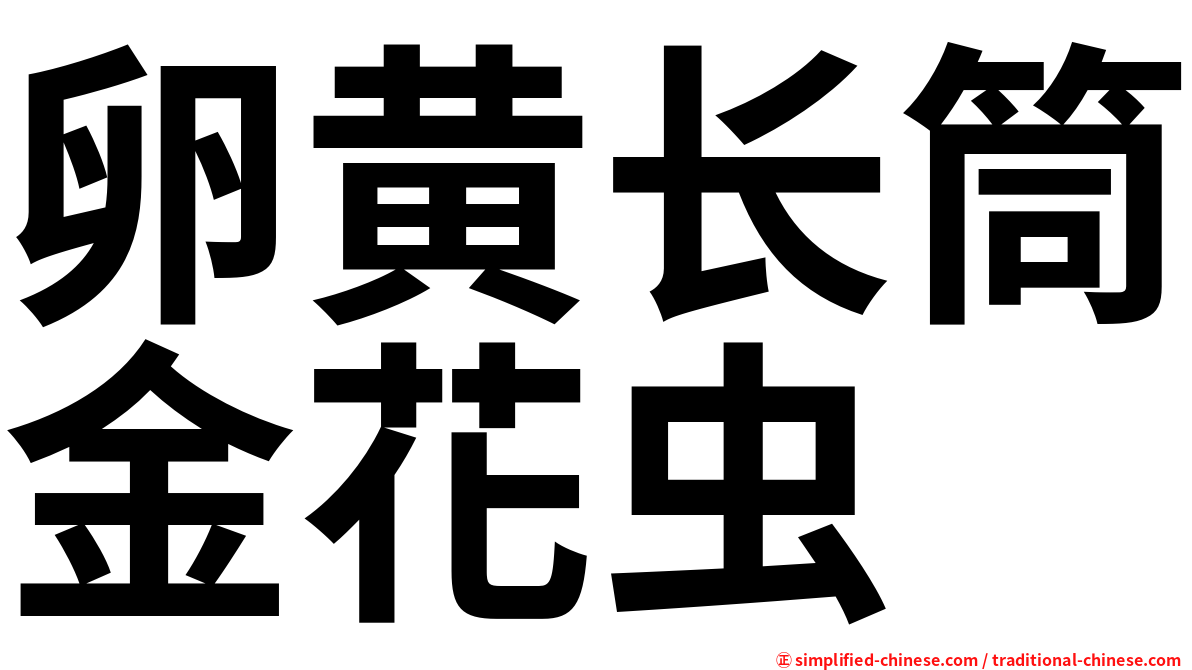 卵黄长筒金花虫