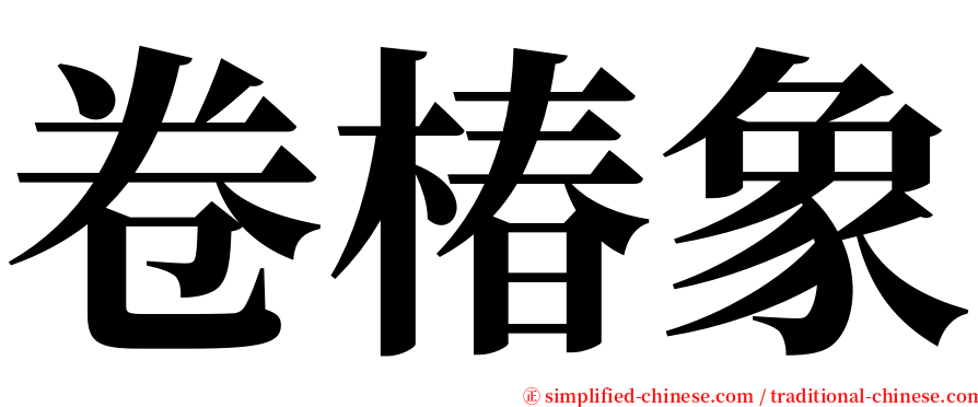 卷椿象 serif font