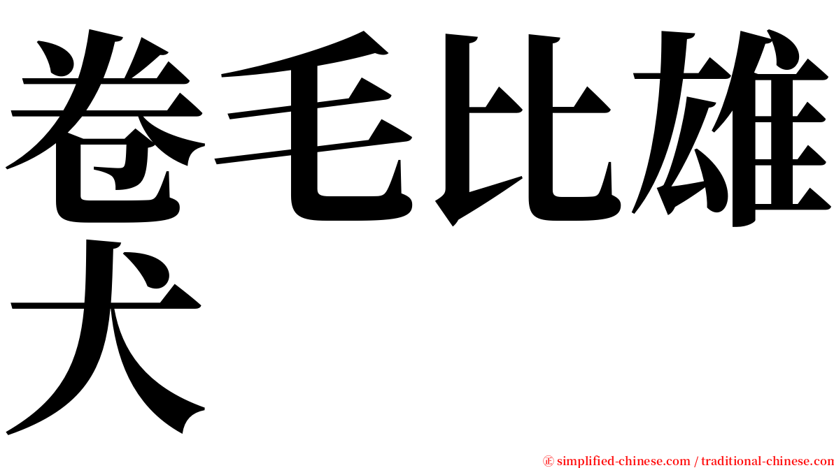 卷毛比雄犬 serif font