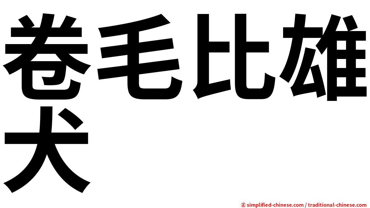 卷毛比雄犬