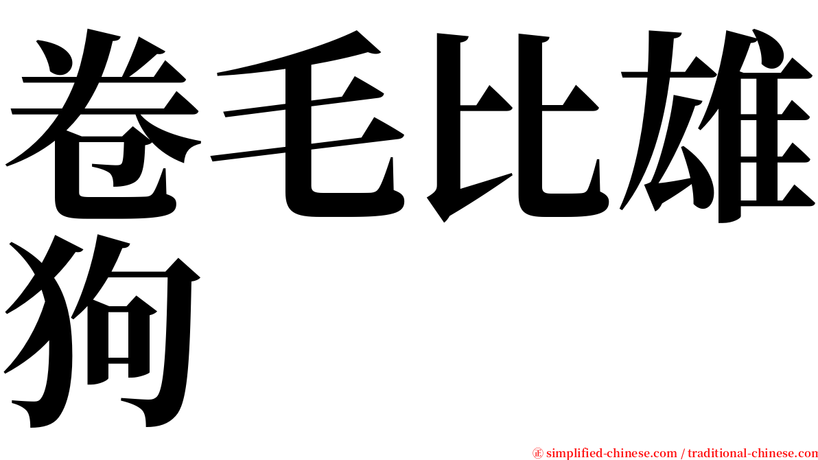 卷毛比雄狗 serif font