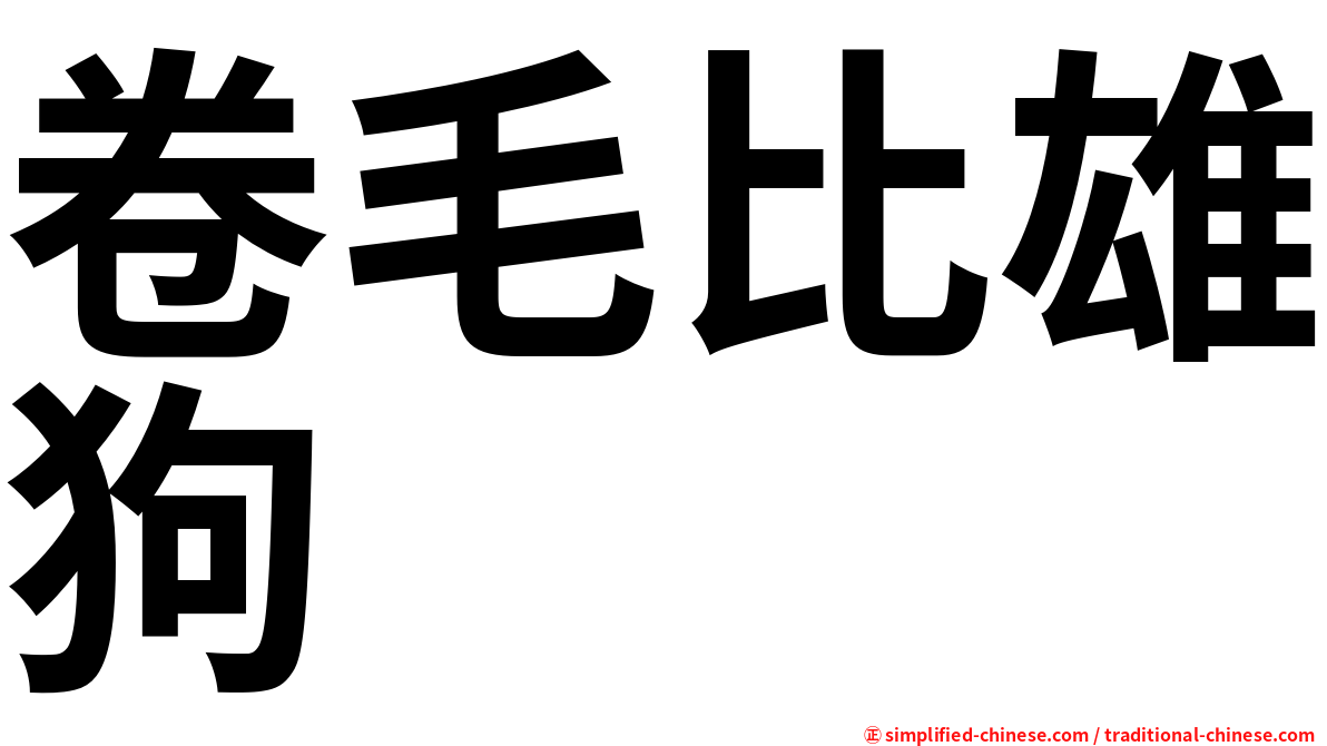 卷毛比雄狗