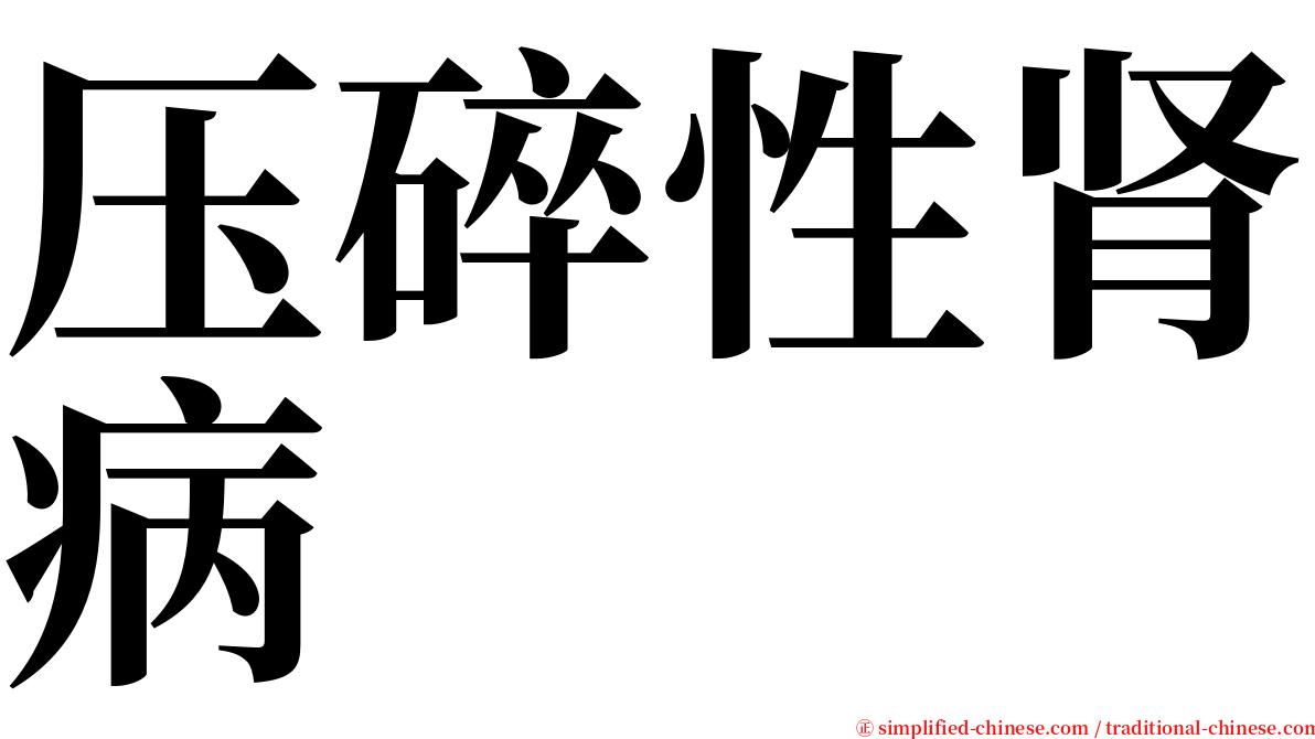 压碎性肾病 serif font