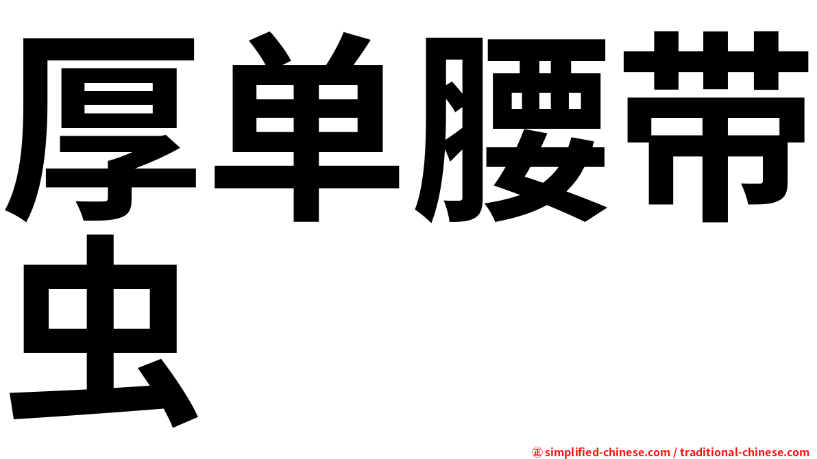 厚单腰带虫
