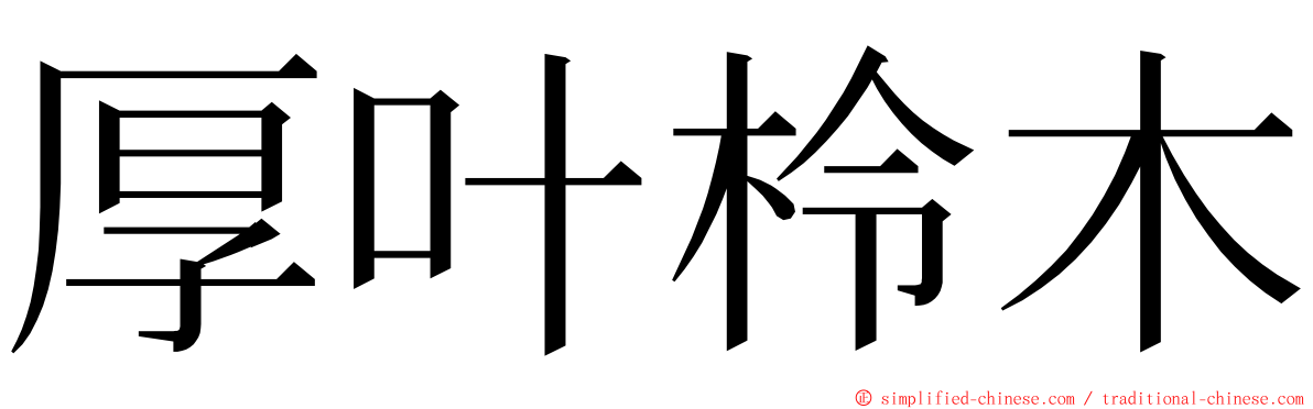 厚叶柃木 ming font