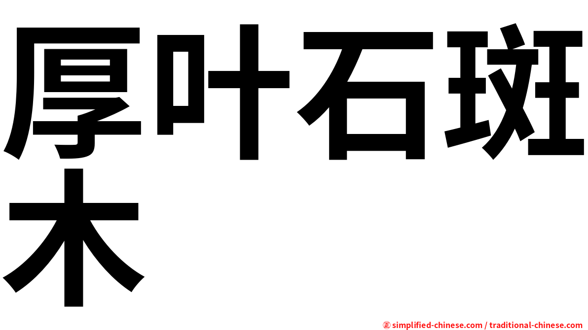 厚叶石斑木