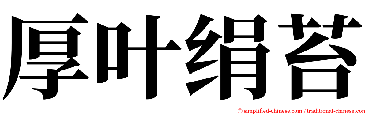厚叶绢苔 serif font