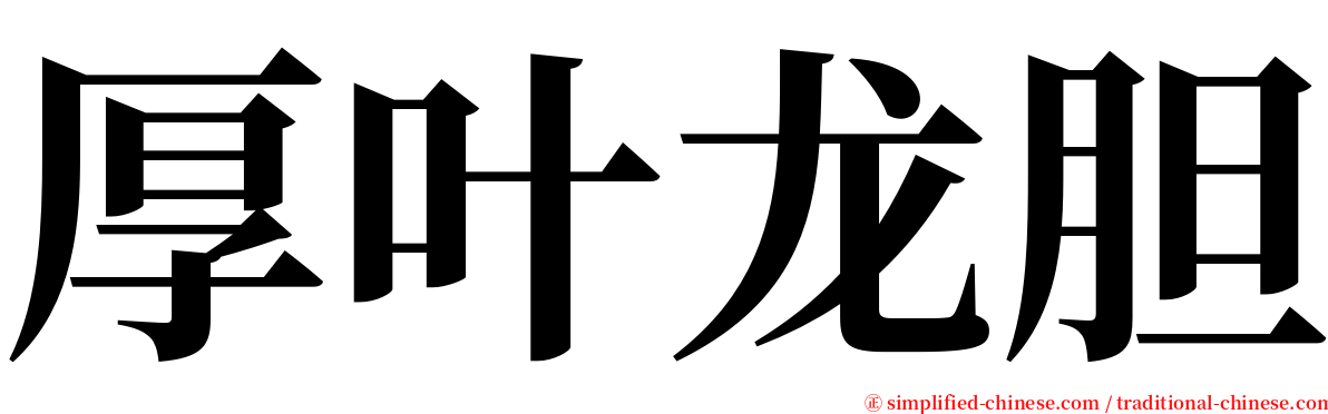 厚叶龙胆 serif font