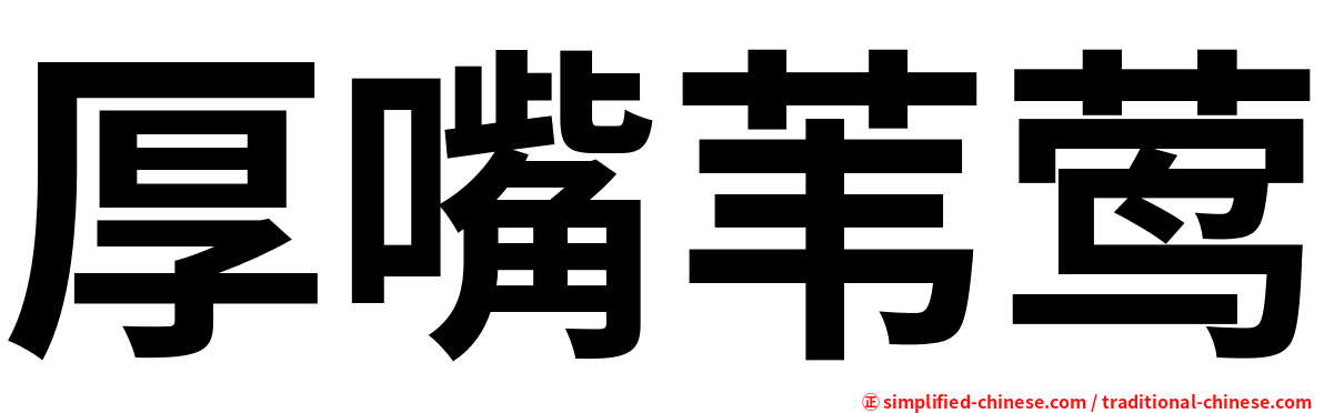 厚嘴苇莺