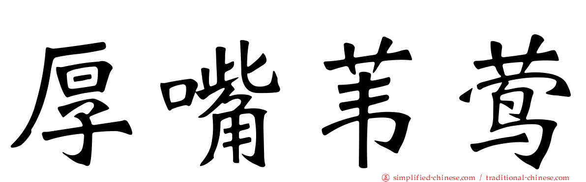厚嘴苇莺