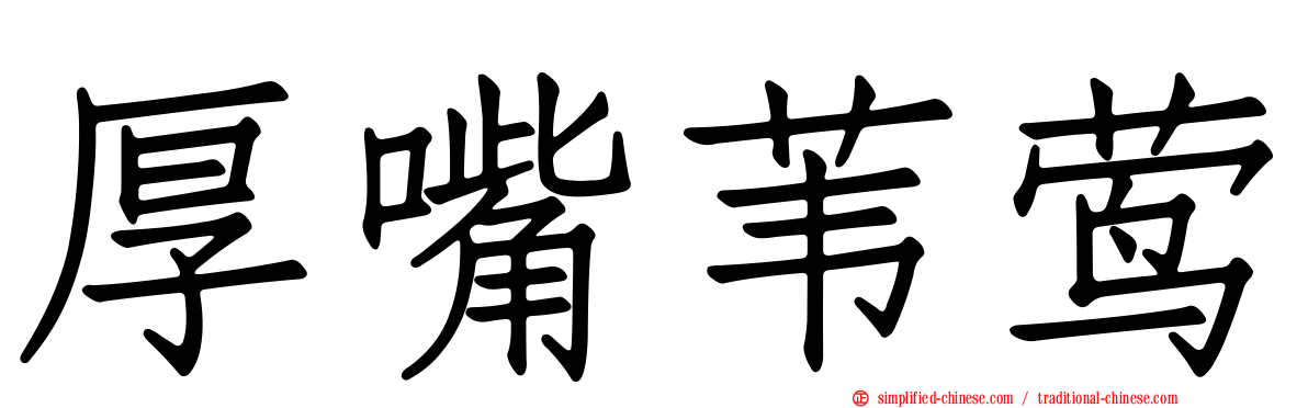 厚嘴苇莺
