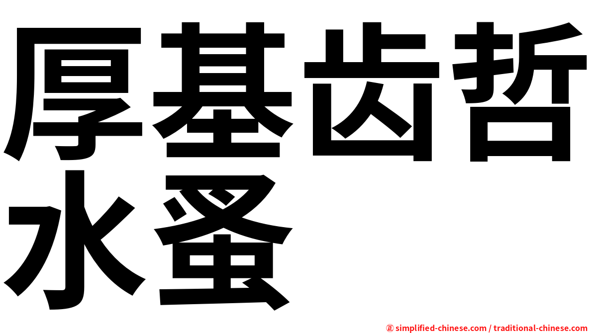 厚基齿哲水蚤