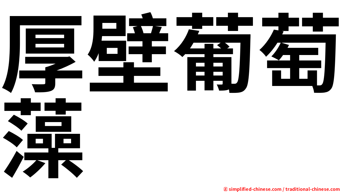厚壁葡萄藻