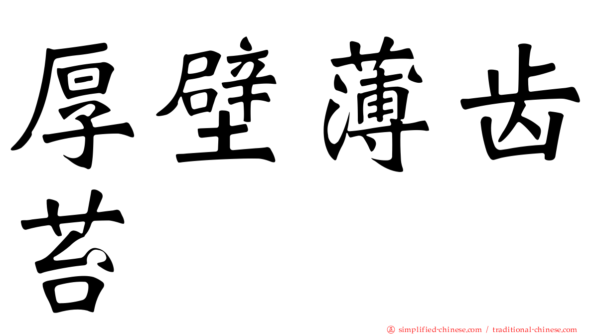 厚壁薄齿苔