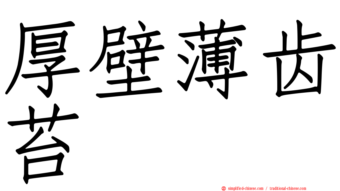 厚壁薄齿苔