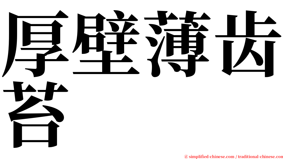 厚壁薄齿苔 serif font