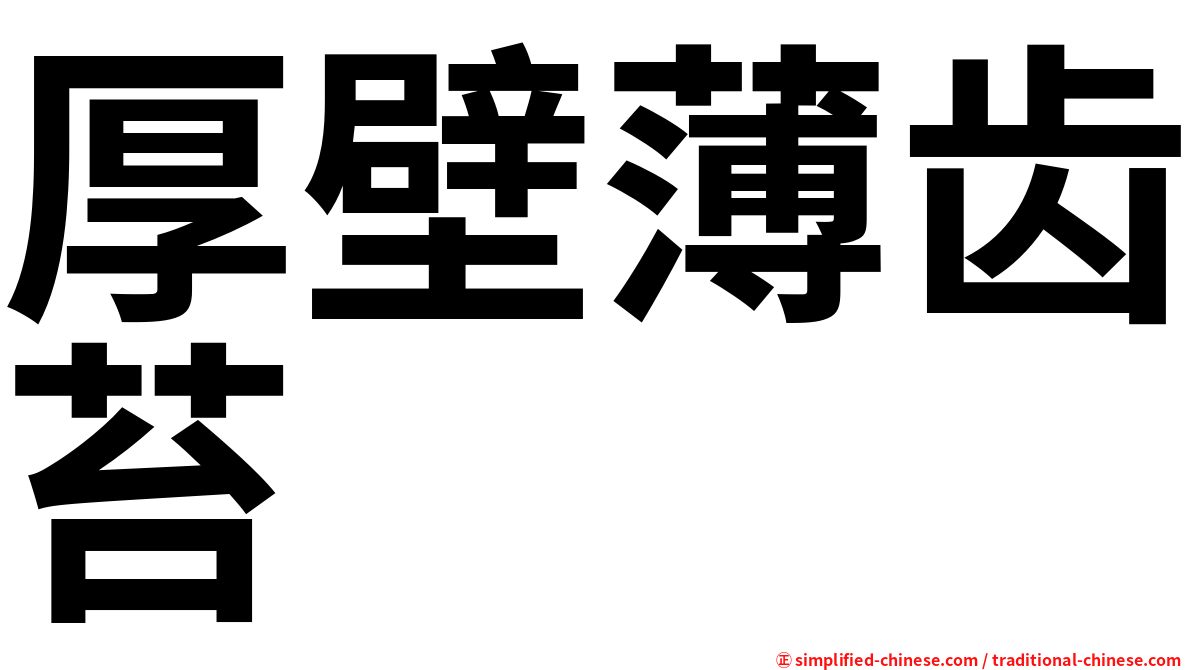 厚壁薄齿苔