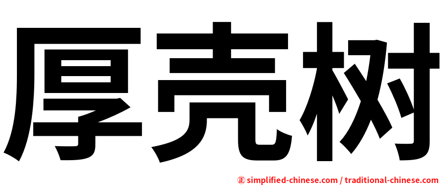 厚壳树