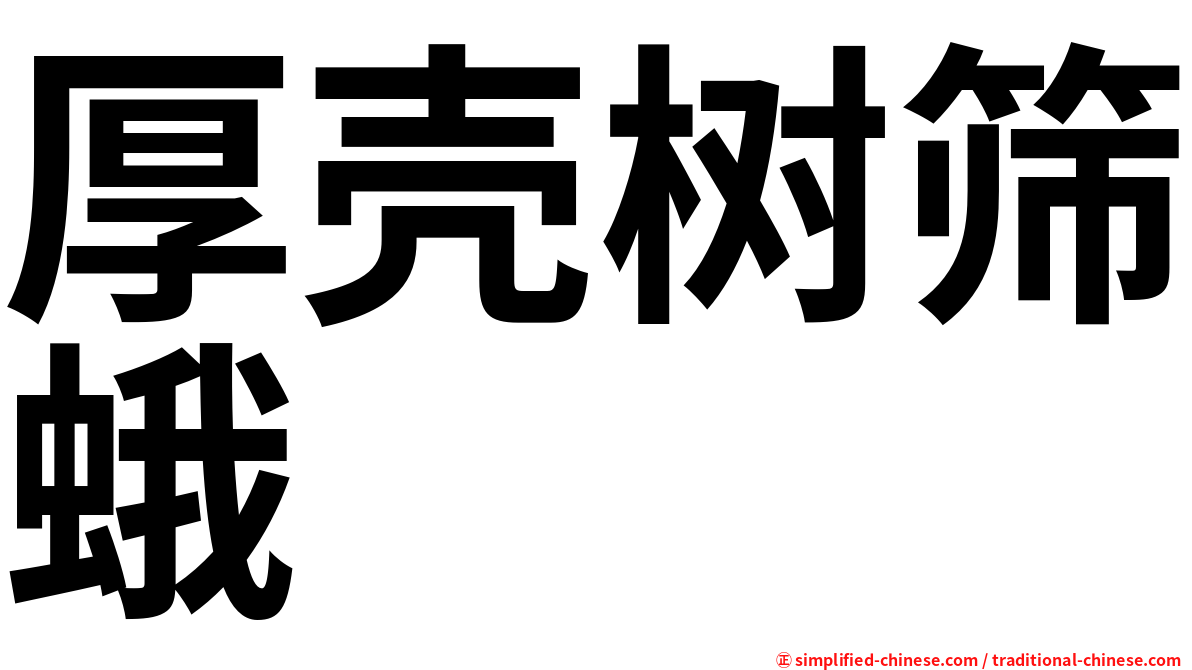 厚壳树筛蛾