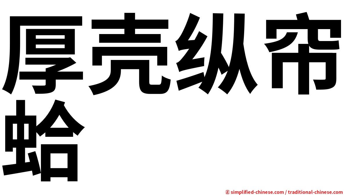 厚壳纵帘蛤