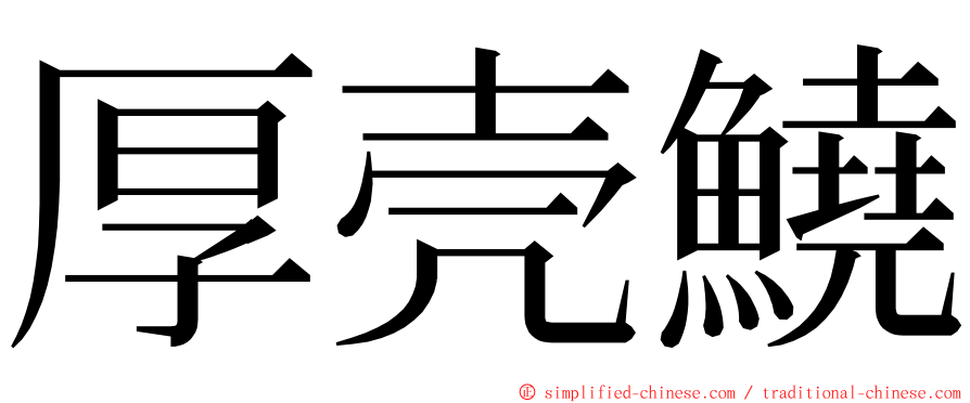 厚壳鱙 ming font