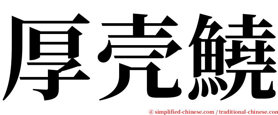厚壳鱙 serif font