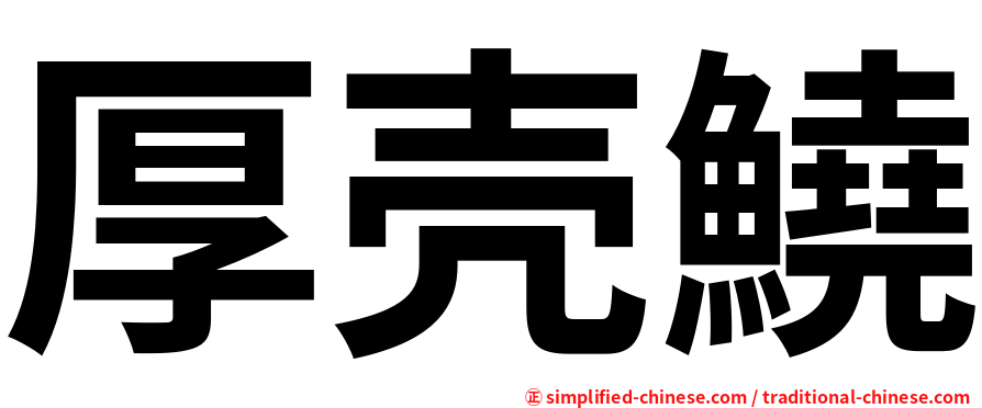 厚壳鱙