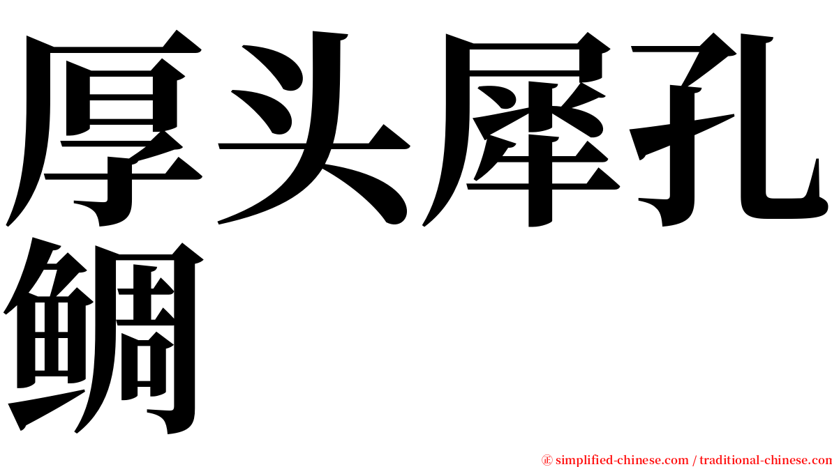 厚头犀孔鲷 serif font