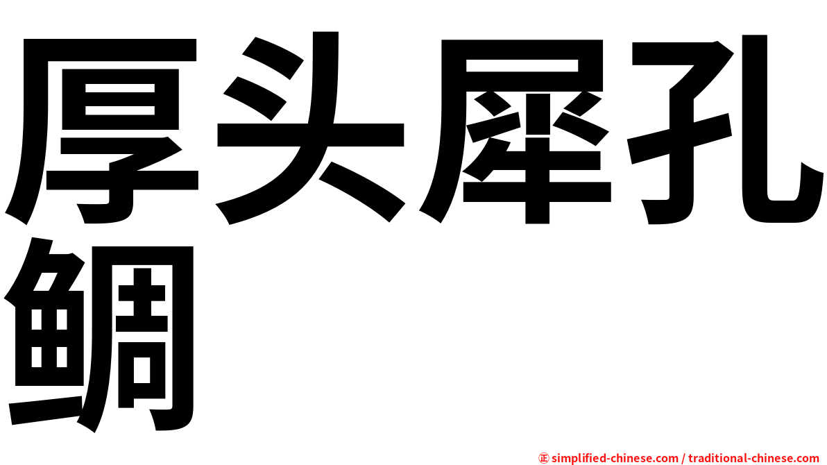 厚头犀孔鲷