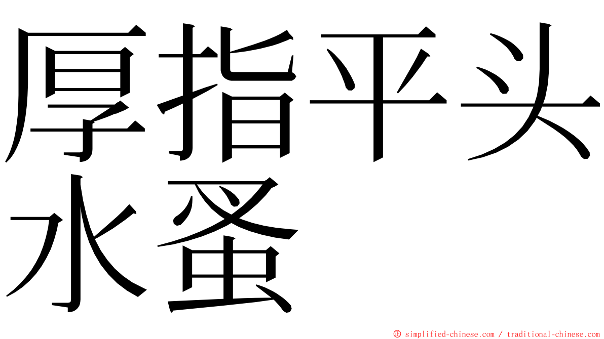 厚指平头水蚤 ming font