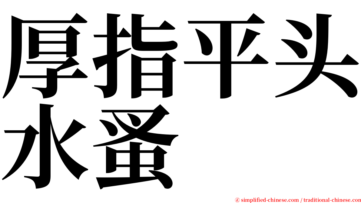 厚指平头水蚤 serif font