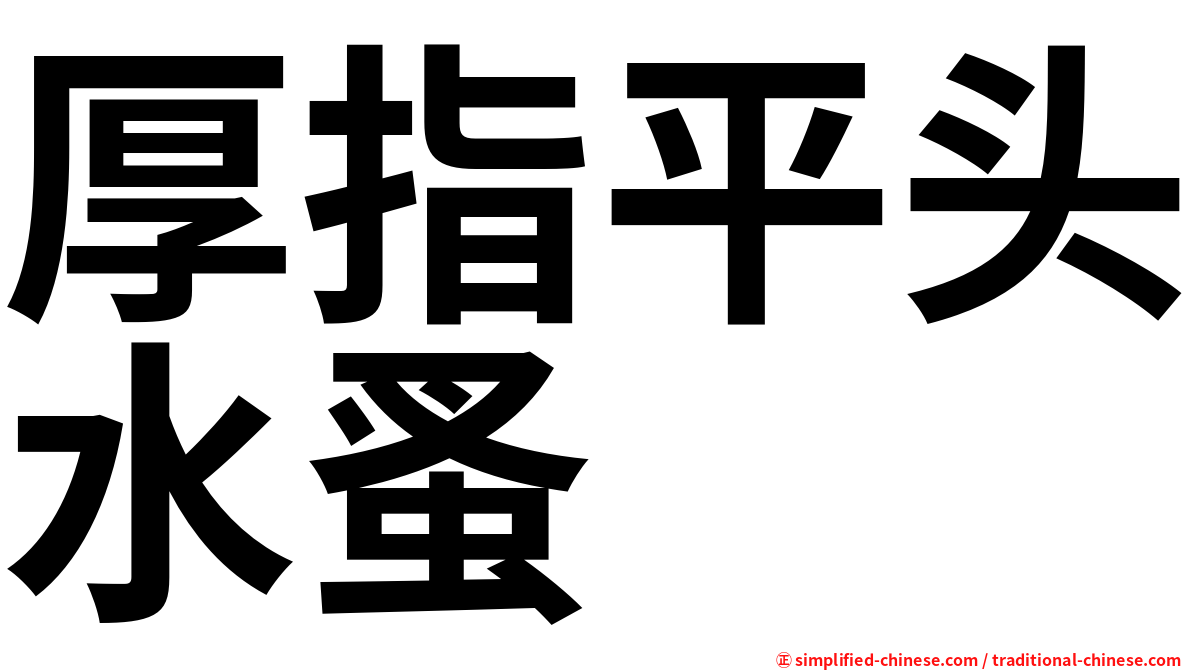 厚指平头水蚤