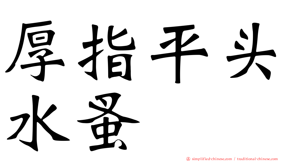 厚指平头水蚤