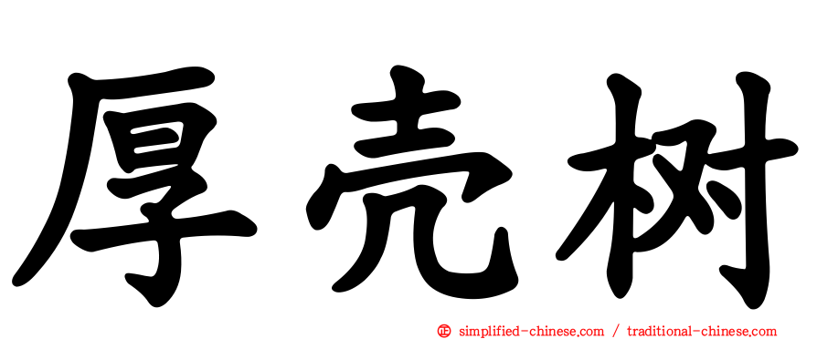 厚壳树