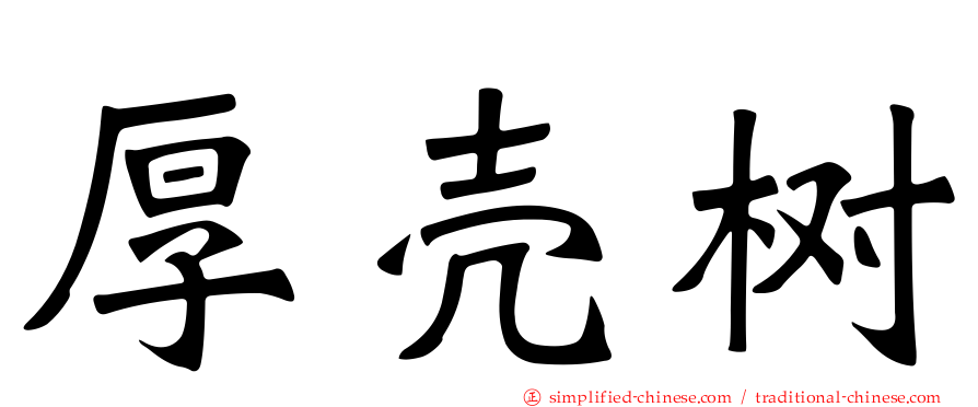 厚壳树